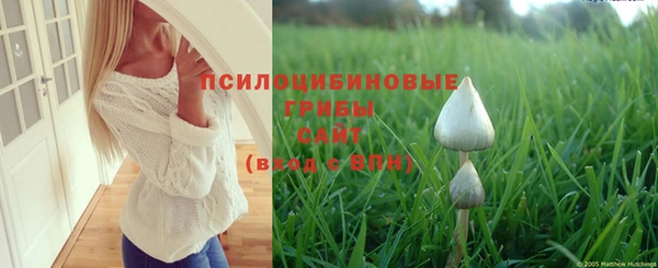 дмт Богородск
