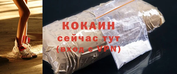 твердый Богданович