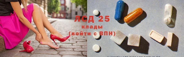 твердый Богданович