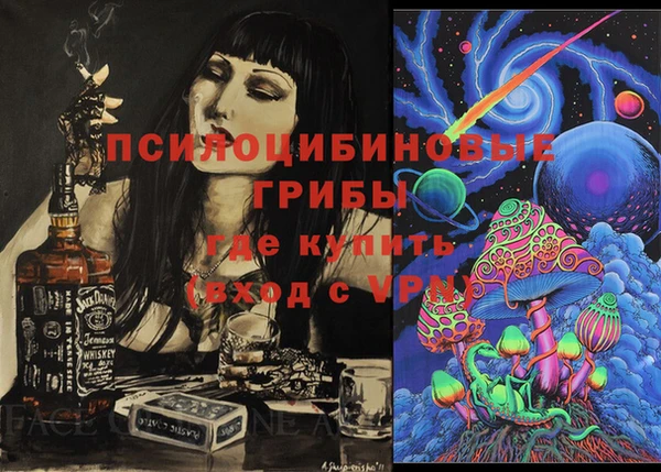 дмт Богородск