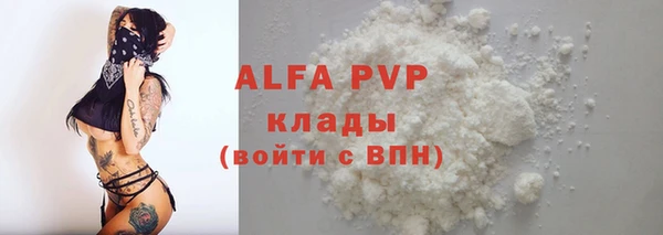 твердый Богданович