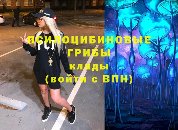 первитин Богородицк