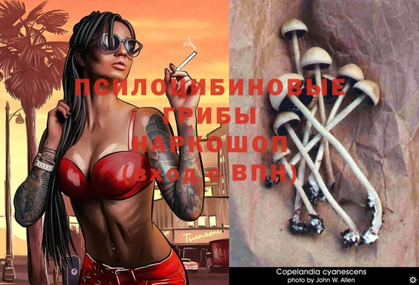 твердый Богданович