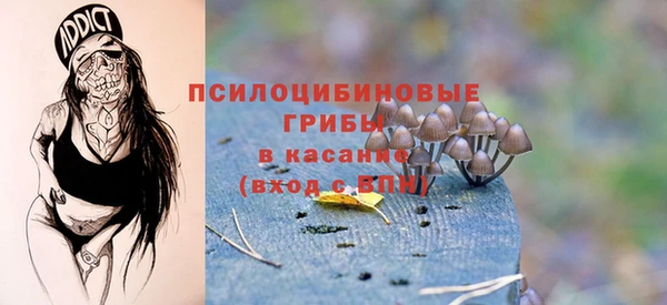 первитин Богородицк