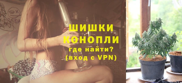 твердый Богданович