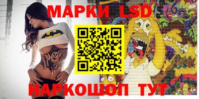 стаф Гай