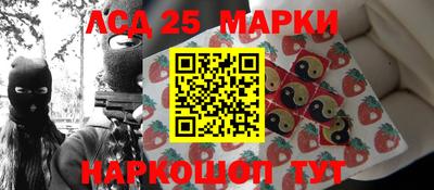 стаф Гай