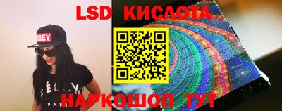 стаф Гай