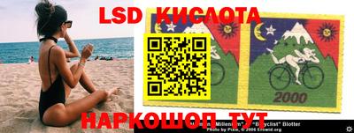 стаф Гай