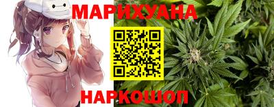 стаф Гай