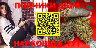 стаф Гай