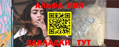 стаф Гай