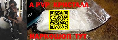стаф Гай