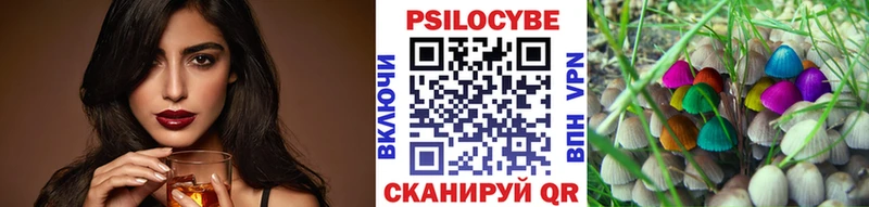 Псилоцибиновые грибы Cubensis  площадка клад  Бутурлиновка 