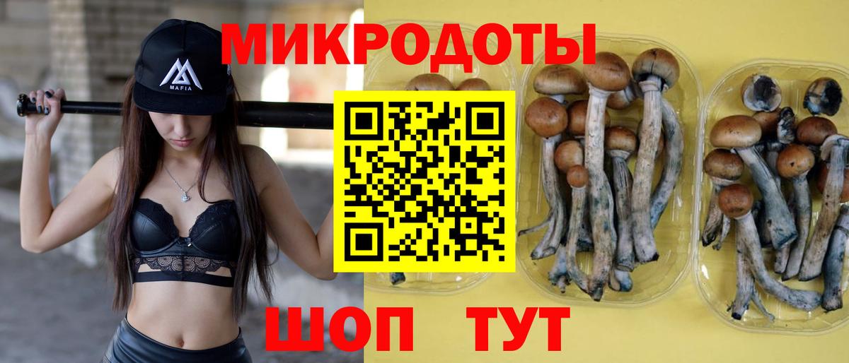 Псилоцибиновые грибы ЛСД  Вход с VPN  Бутурлиновка  Галлюциногенные грибы прущие грибы 
