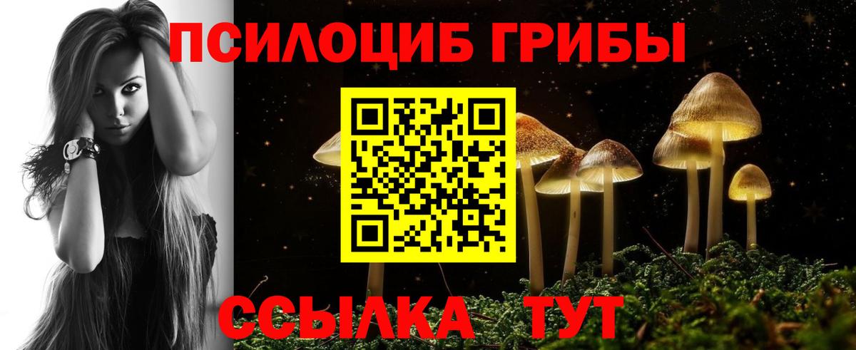 Галлюциногенные грибы ЛСД Бутурлиновка